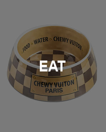 Chewy Vuitton dog bowl and mat in 2023